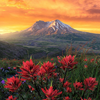 Instagram photo of Mt. St. Helens